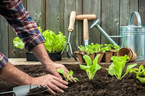 Company team inspecting a garden, symbolic of commitment to ethical labour