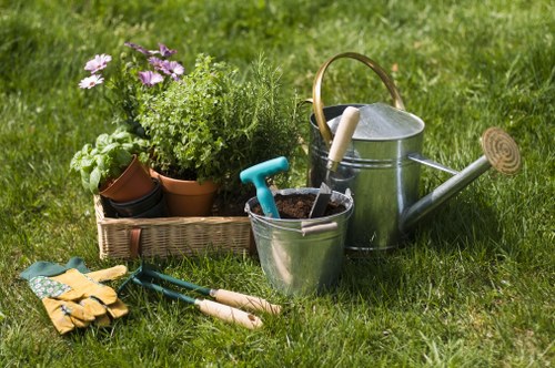 Professional hedge trimming tools and equipment