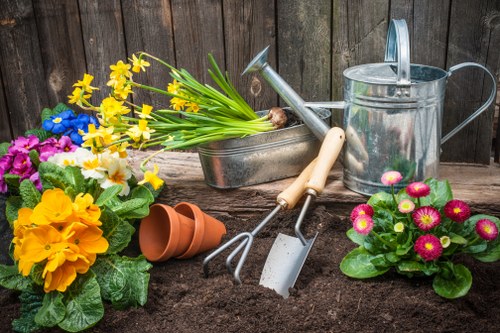 Professional landscaping services enhancing a Shortlands garden