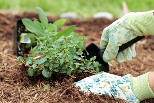 Protective gloves and safety gear laid out for gardening staff