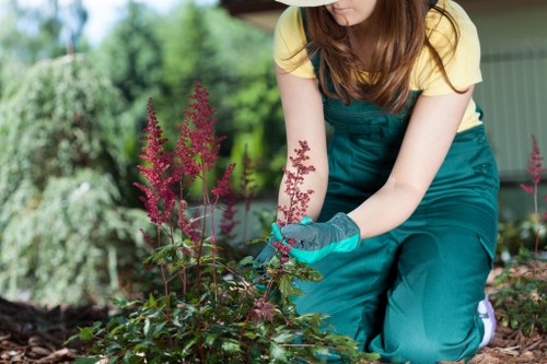A woman with long brown hair, dressed in a yellow short-sleeved top and teal gardening overalls, is kneeling on the soil in a well-maintained garden. She is wearing gardening gloves and appears to be tending to a small flower bed that features several pink flowering plants with tall, slender flower spikes and green foliage. The garden includes a neatly edged lawn with lush, dense grass visible in the background, along with a variety of shrubs and trees that create a green backdrop. The scene is outdoors, under natural daylight, with some blurred garden structures and a shed or greenhouse visible on the right side. The environment suggests careful landscaping and regular outdoor maintenance, characteristic of professional gardening services in the Shortlands area, and demonstrates a focus on healthy plant growth and garden aesthetic.