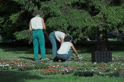 Professional lawn mowing service enhancing Shortlands residential property