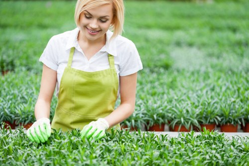 Gardener designing a garden layout in Shortlands