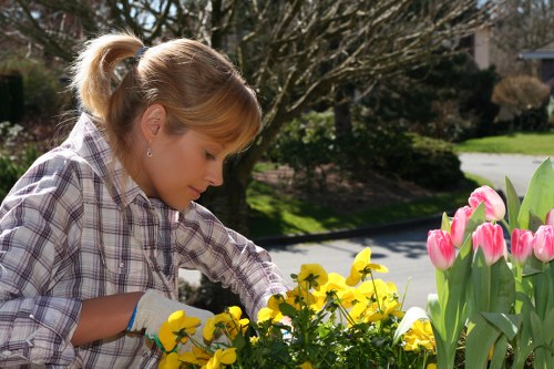 Inspector giving a free on-site quote in a residential garden