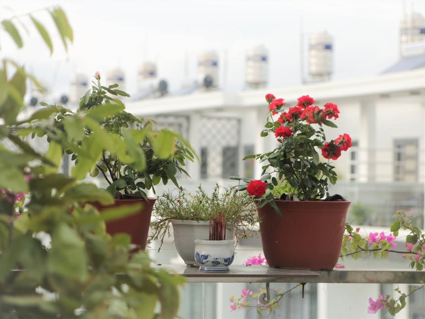 On a balcony or terrace, there are three potted plants positioned on a white surface: two larger pots contain flowering and leafy plants, with one displaying bright red blossoms and the other lush gre