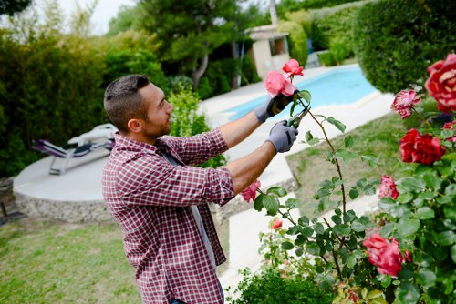 Beautiful garden landscape showcasing professional gardening services in Shortlands