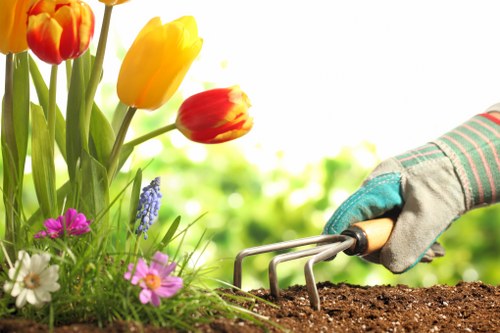 Customized garden design layout by professional gardening services